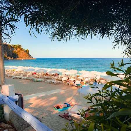 Hébergement de vacances Mediterranean Dream - Caminia Bay Stalettì